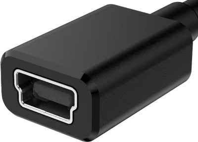 Mini-USB Typ-B eine Buchse, schräg