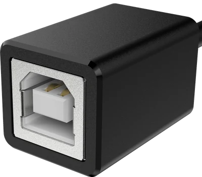 USB Typ-B eine Buchse, schräg