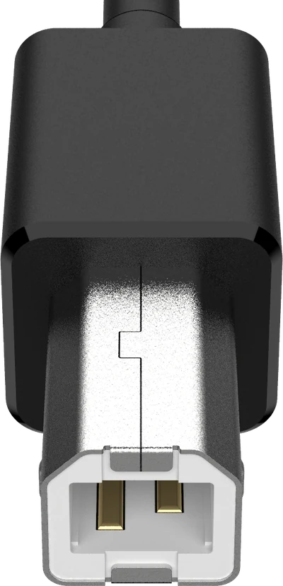 USB Typ-B hane